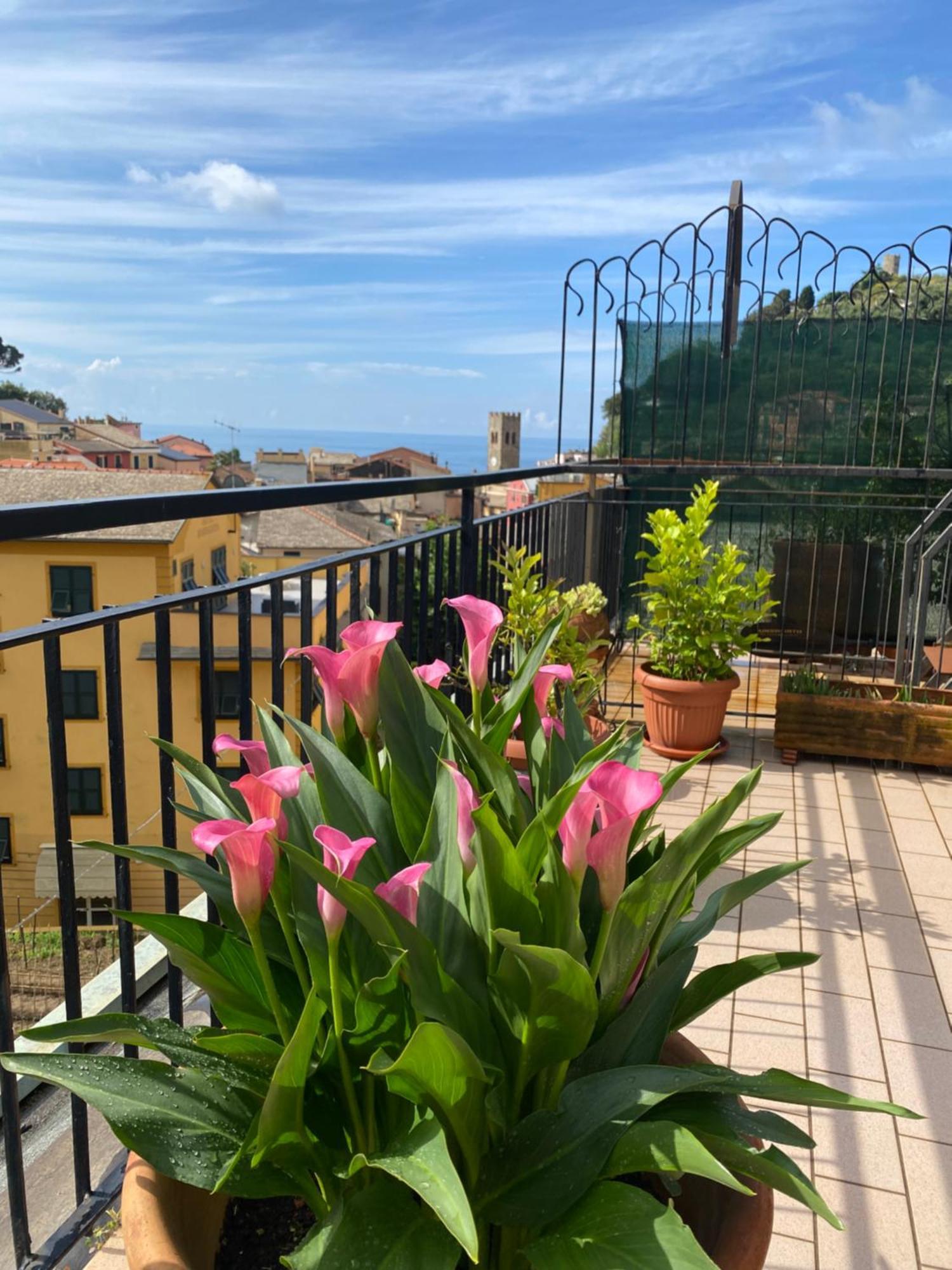 Apartament La Terrazza Di Monterosso Monterosso al Mare Zewnętrze zdjęcie