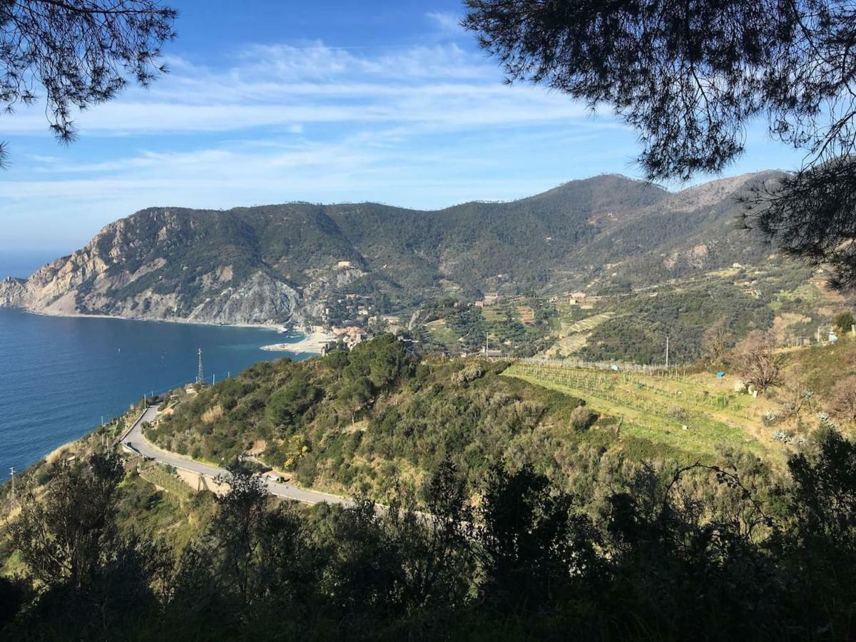 Apartament La Terrazza Di Monterosso Monterosso al Mare Zewnętrze zdjęcie