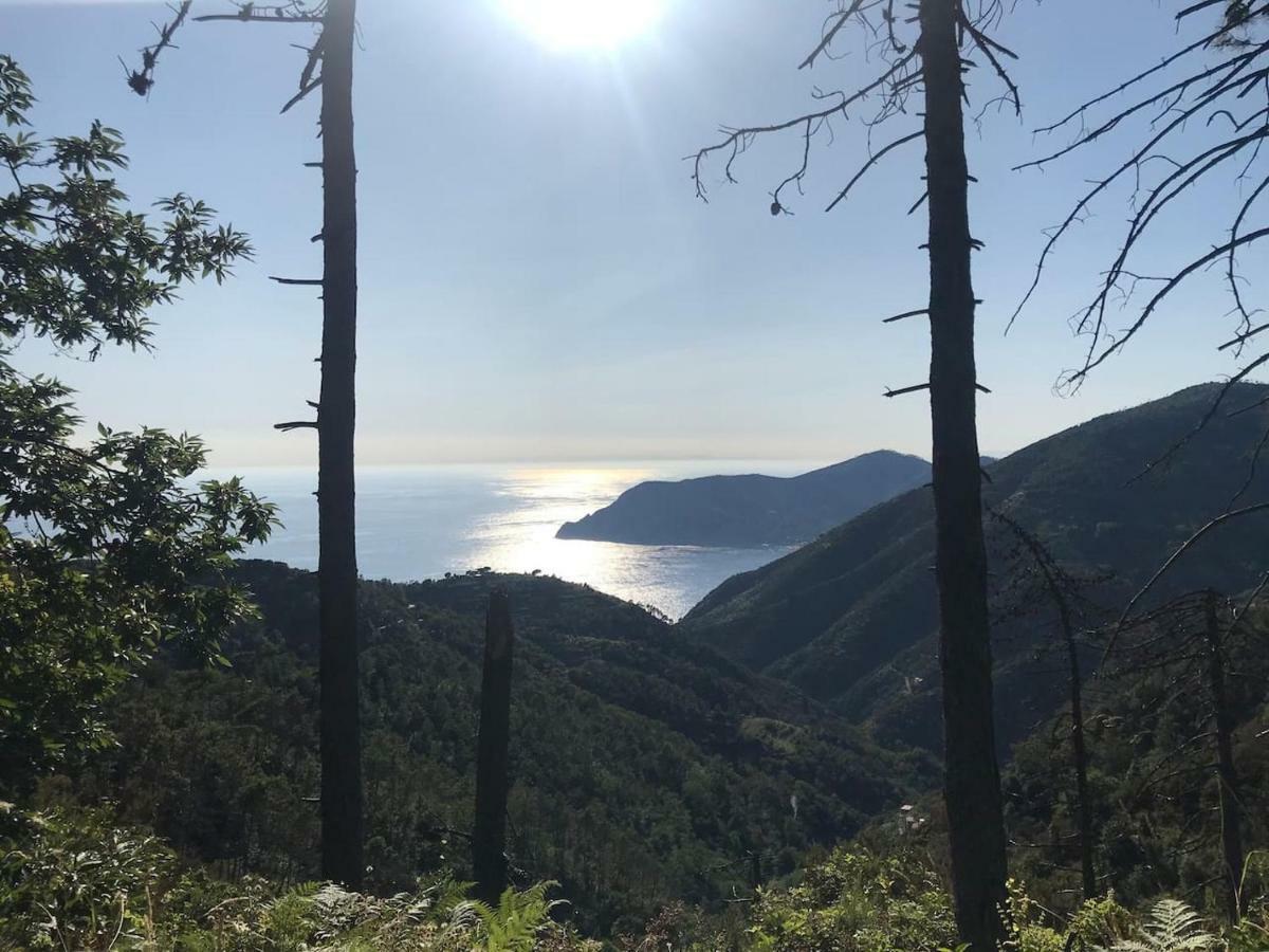 Apartament La Terrazza Di Monterosso Monterosso al Mare Zewnętrze zdjęcie