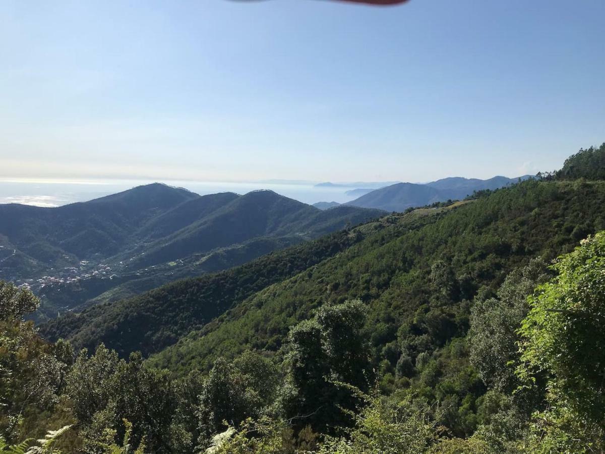 Apartament La Terrazza Di Monterosso Monterosso al Mare Zewnętrze zdjęcie